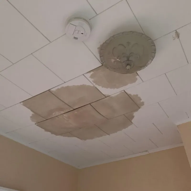 Ceiling Water Damage Repair in Knox County, IN