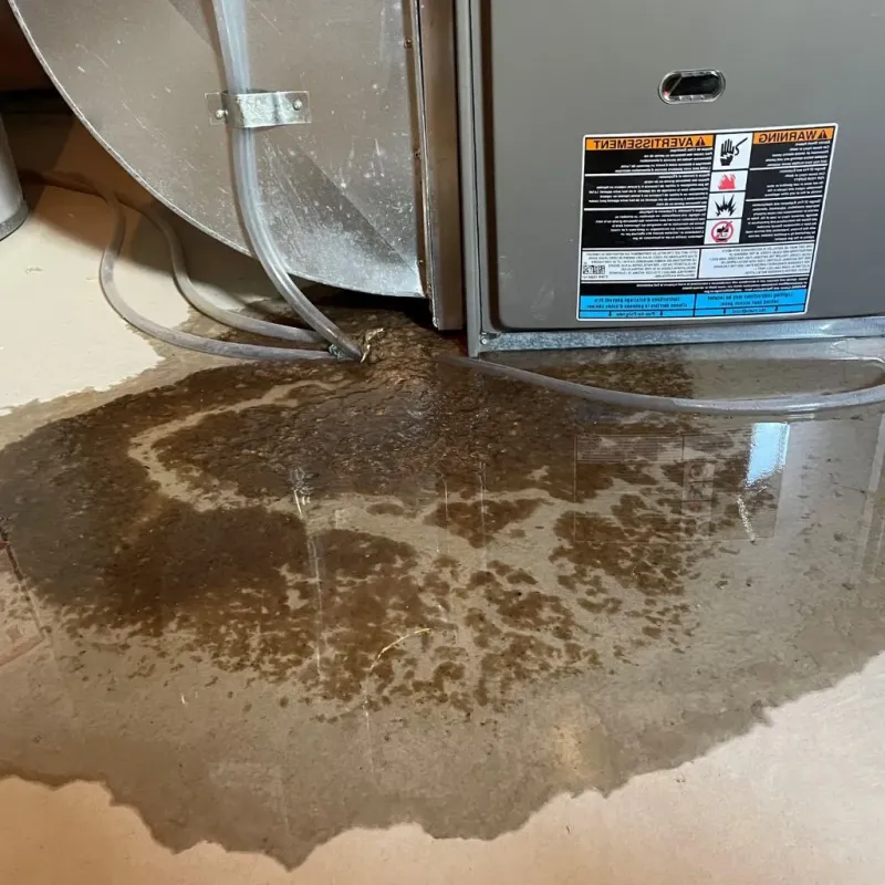 Pipe Burst and Leak Restoration in Knox County, IN