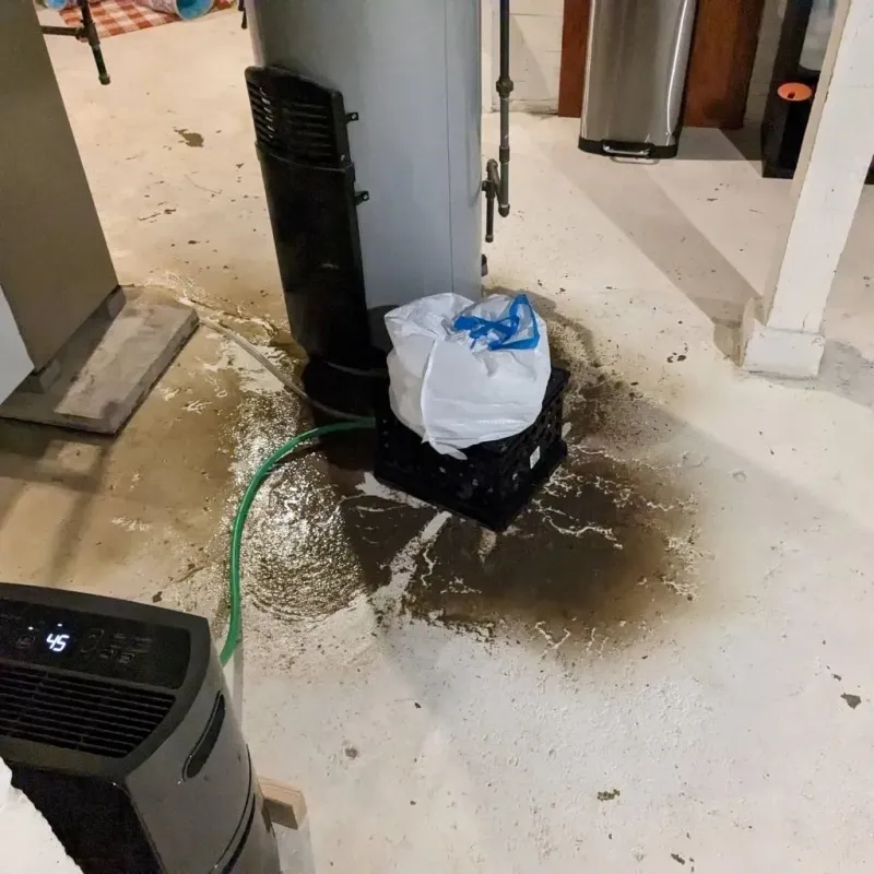 Sewage Backup Cleanup Service in Knox County, IN